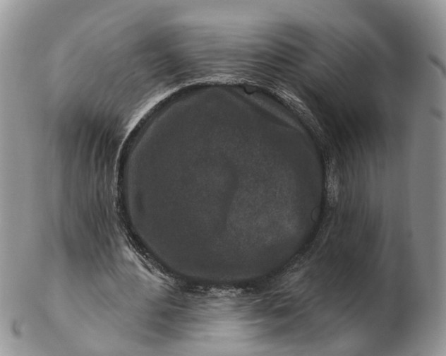 X0000102790484200809021118