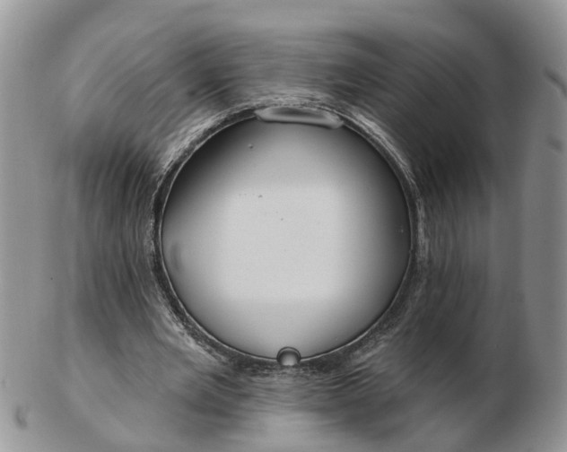 X0000102790485200809021118