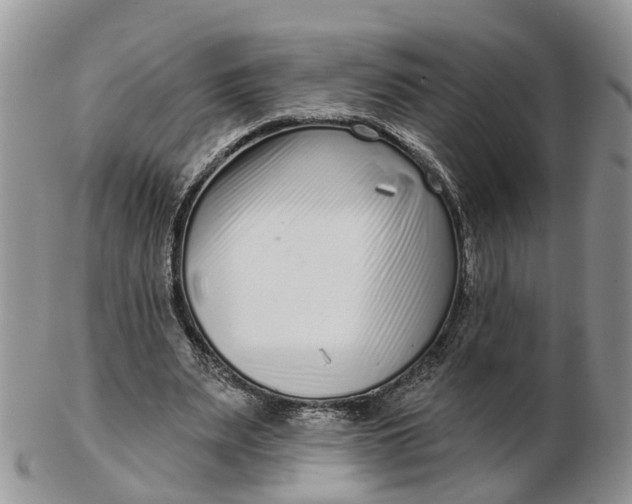 X0000102790487200809021117