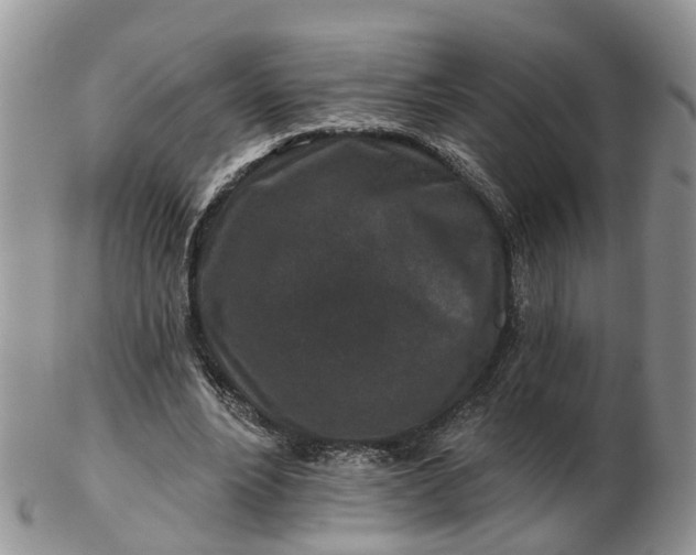 X0000102790488200809021117