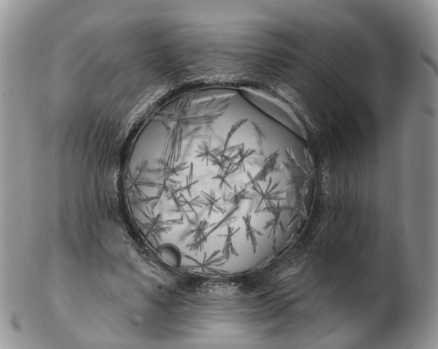 X0000102790491200809021117