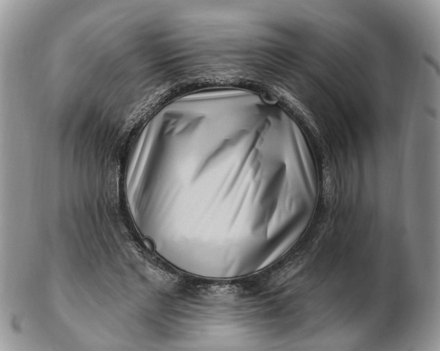 X0000102790493200809021117