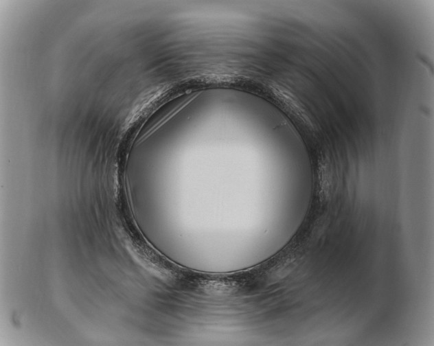 X0000102790494200809021117