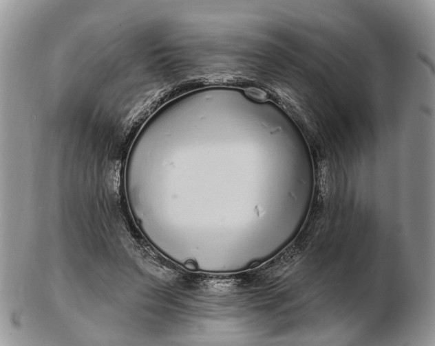 X0000102790495200809021117