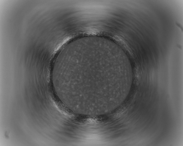 X0000102790496200809021117