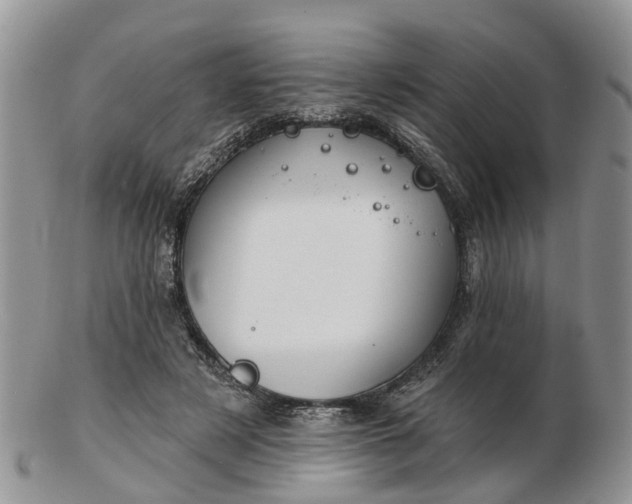 X0000102790497200809021117