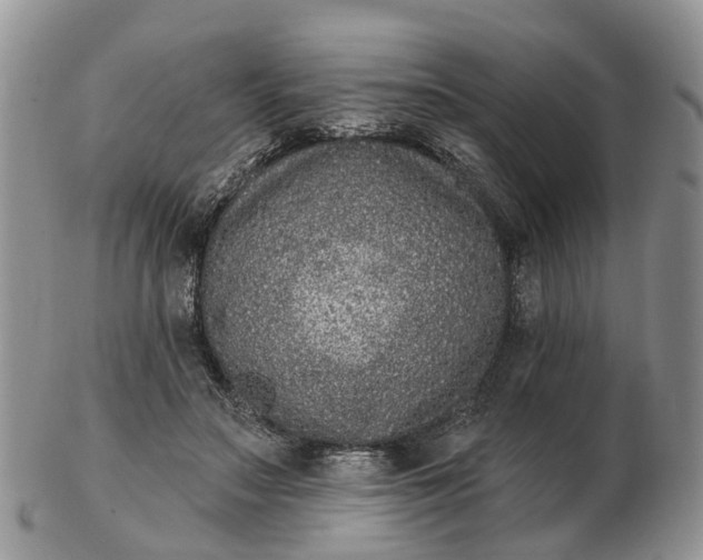 X0000102790499200809021117