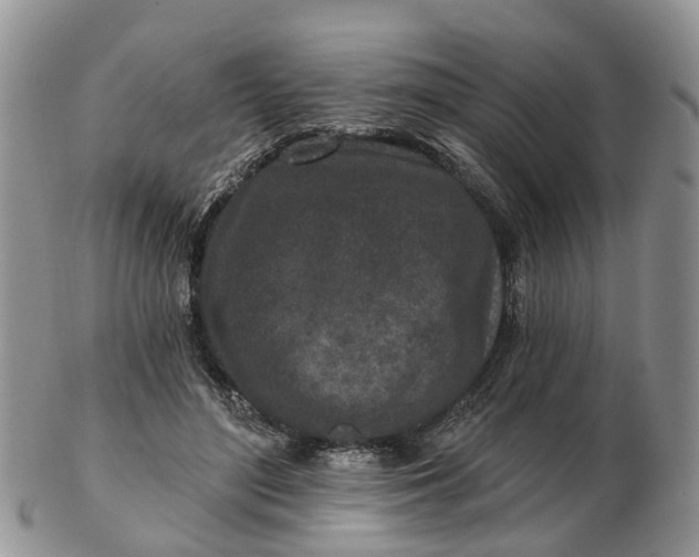 X0000102790500200809021117