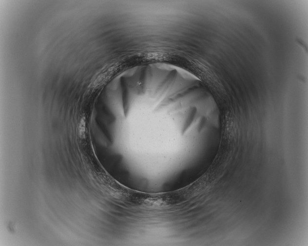 X0000102790502200809021117