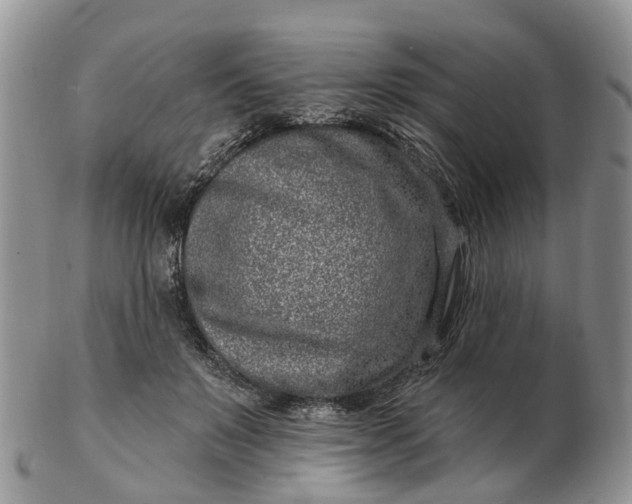 X0000102790503200809021117