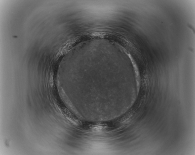 X0000102790504200809021117