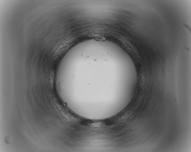 X0000102790505200809021117