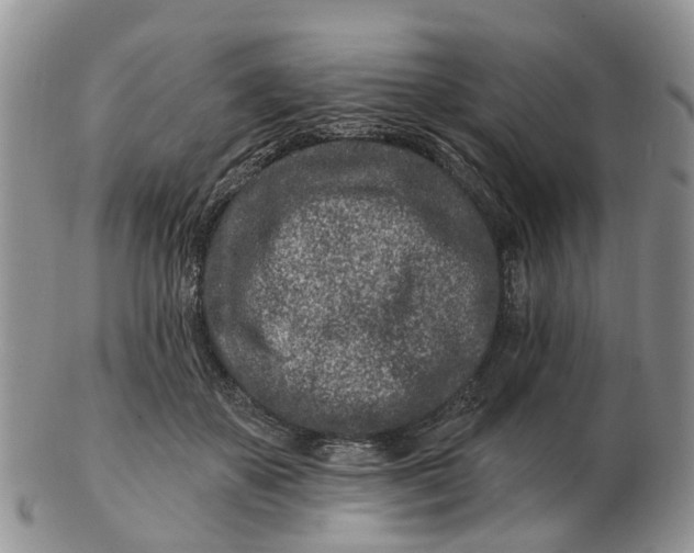 X0000102790507200809021117