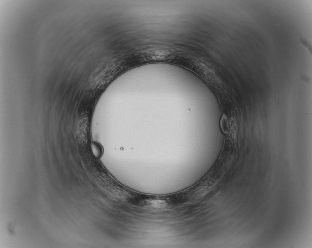 X0000102790509200809021117