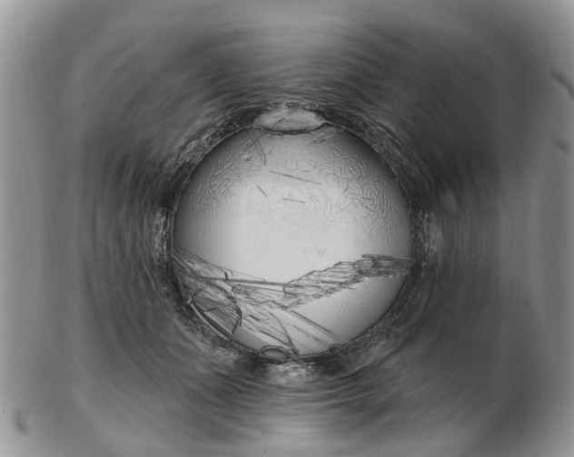 X0000102790511200809021117