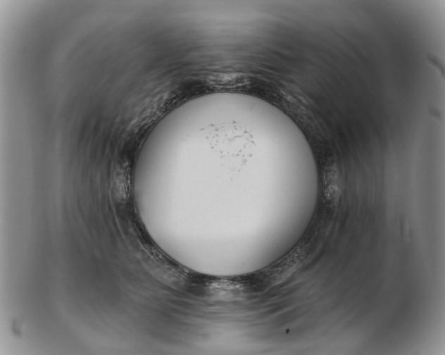 X0000102790515200809021117