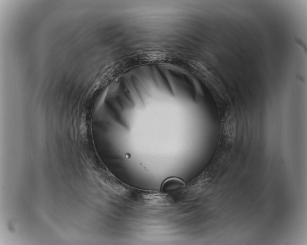 X0000102790516200809021117