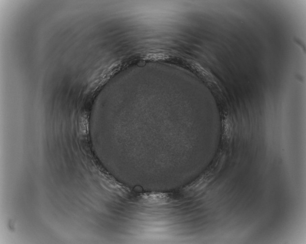 X0000102790517200809021117