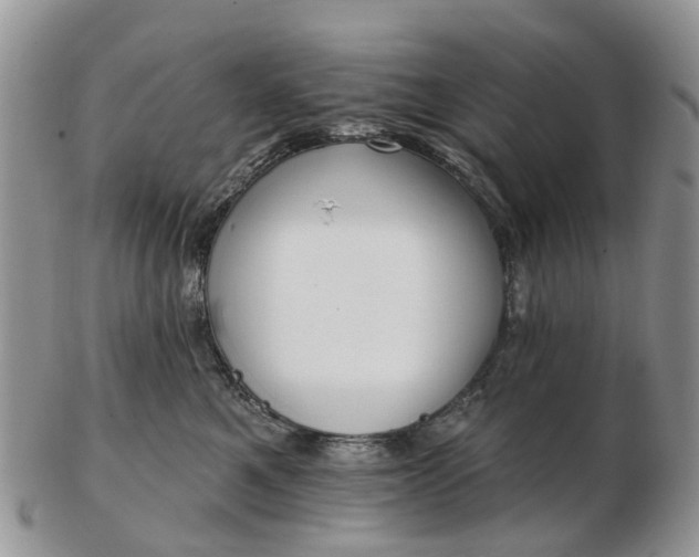 X0000102790521200809021117