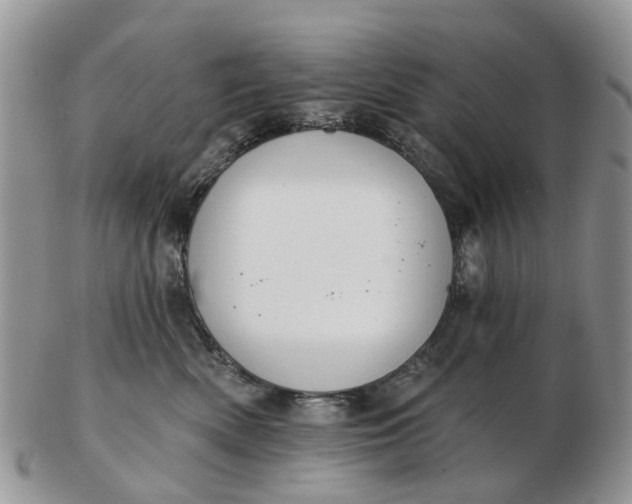 X0000102790522200809021117