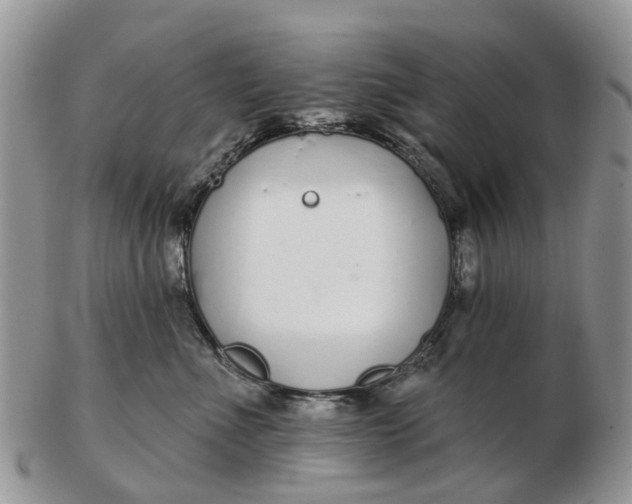 X0000102790523200809021117