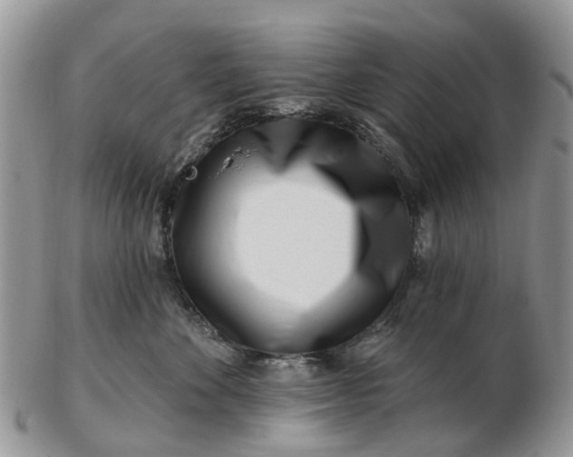 X0000102790524200809021117