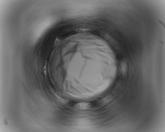 X0000102790526200809021117