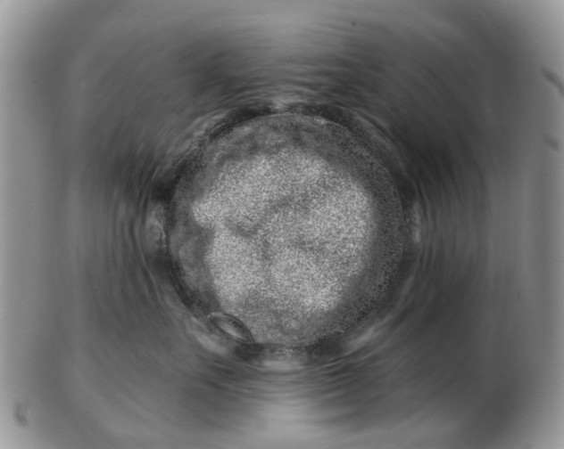 X0000102790527200809021117