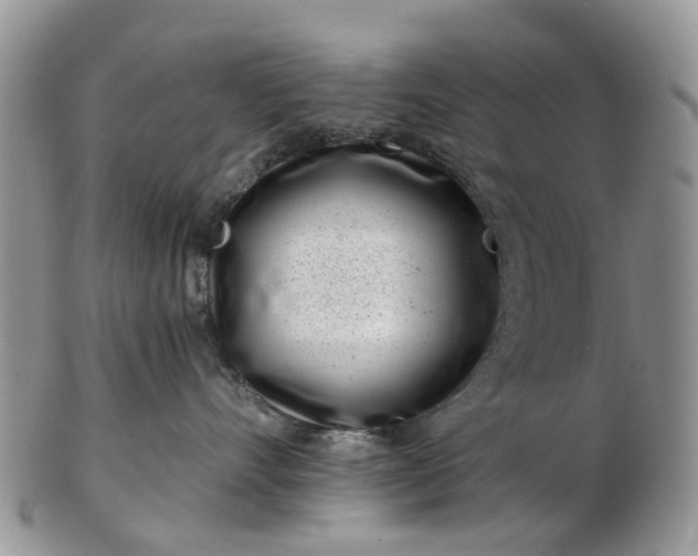 X0000102790528200809021117