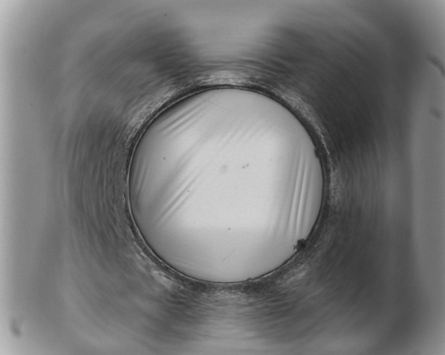 X0000102790529200809021116