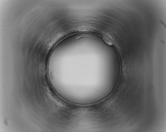 X0000102790530200809021116