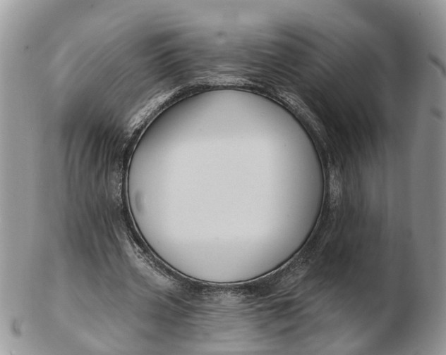 X0000102790533200809021116