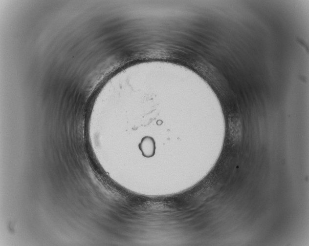 X0000102790534200809021116