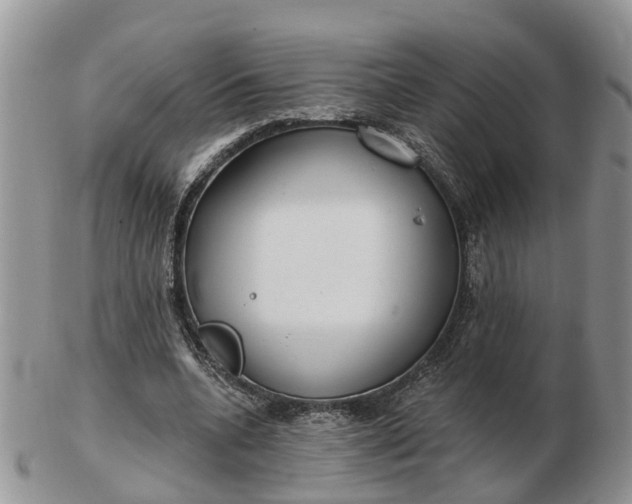 X0000102790536200809021116