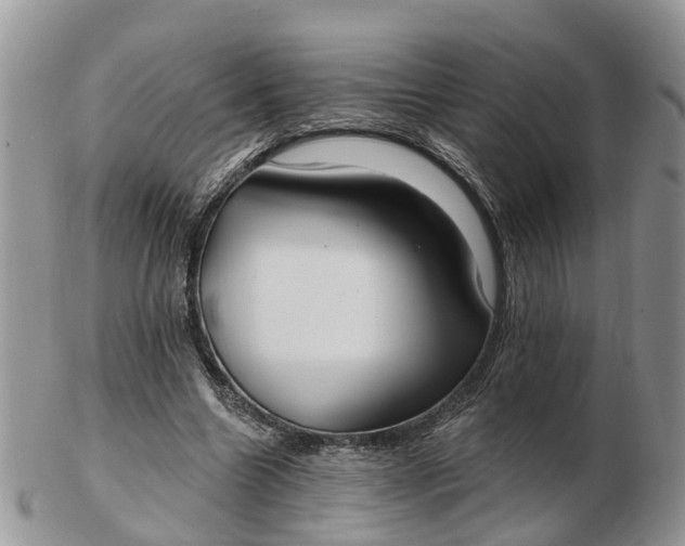 X0000102790538200809021116