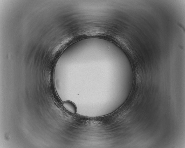 X0000102790539200809021116