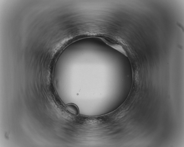 X0000102790540200809021116