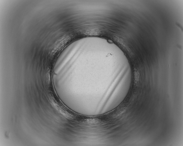 X0000102790541200809021116