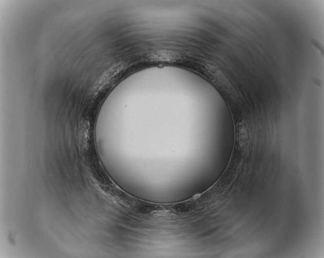 X0000102790544200809021116