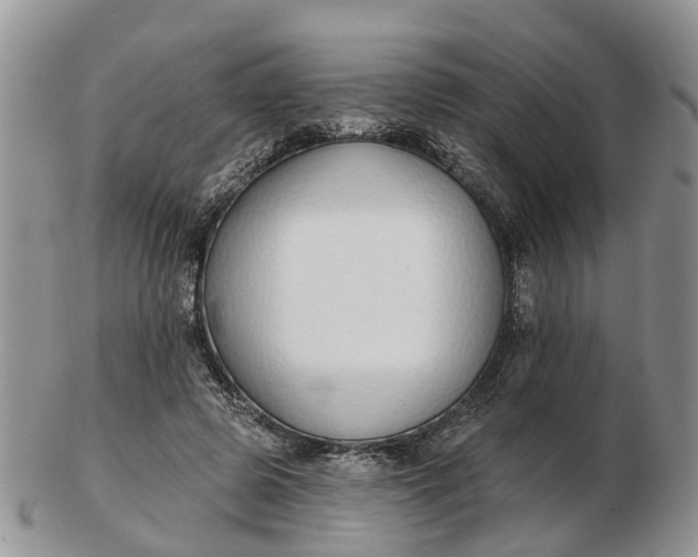 X0000102790545200809021116