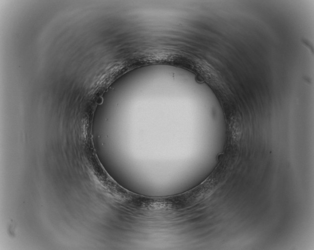 X0000102790546200809021116