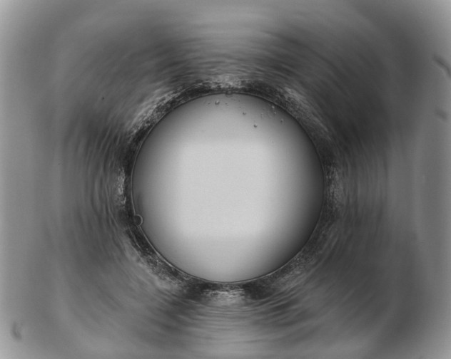 X0000102790548200809021117