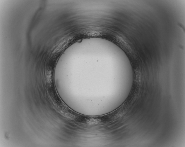 X0000102790549200809021117