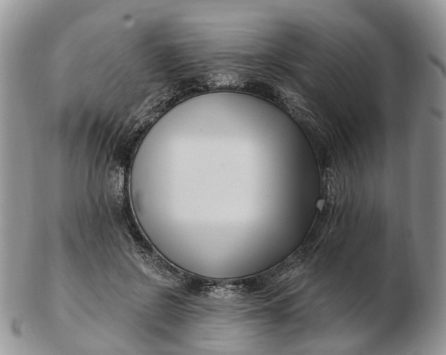 X0000102790550200809021117