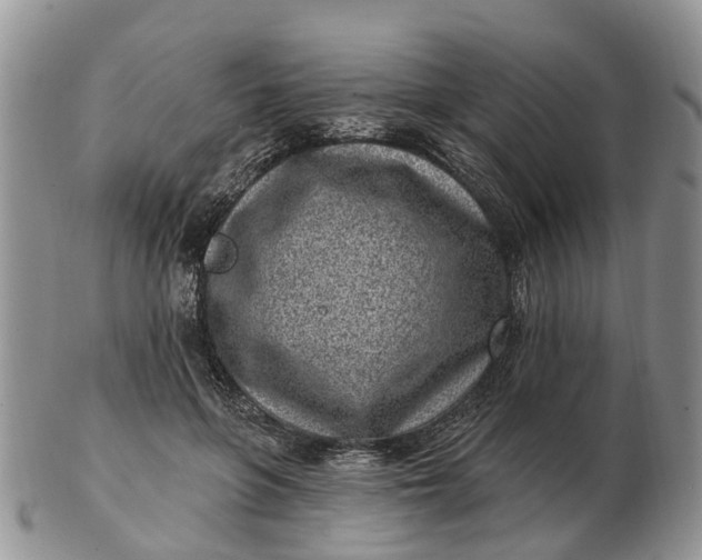 X0000102790551200809021117