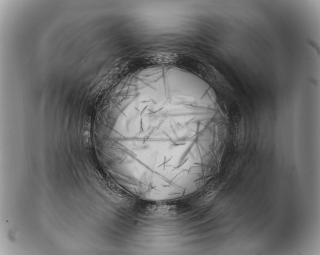 X0000102790553200809021117