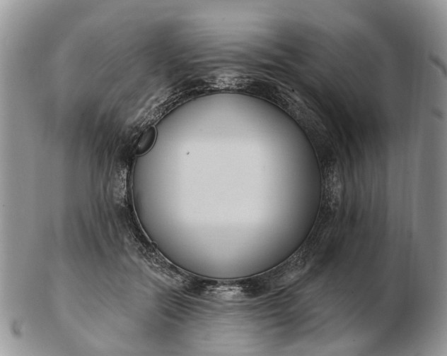 X0000102790554200809021117