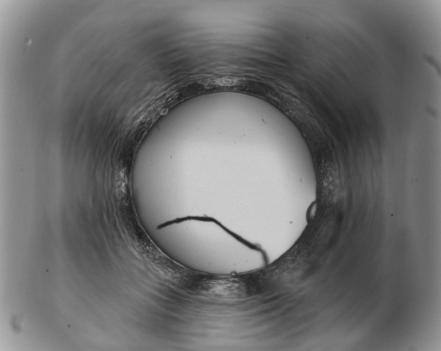 X0000102790555200809021117