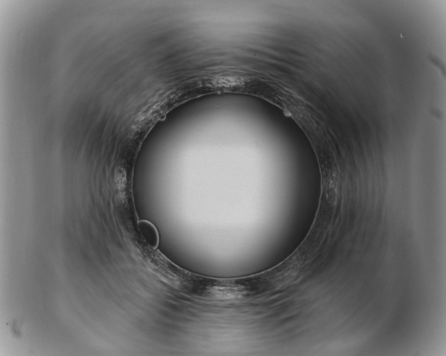 X0000102790556200809021117