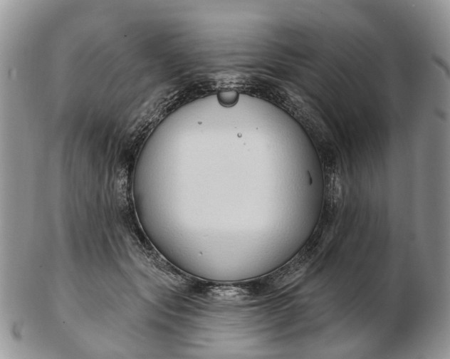 X0000102790557200809021117